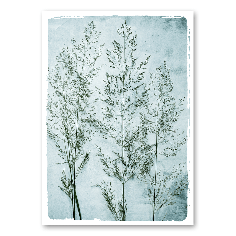 Mo-Ca Dutch old canvas Gras op blauwe achtergrond