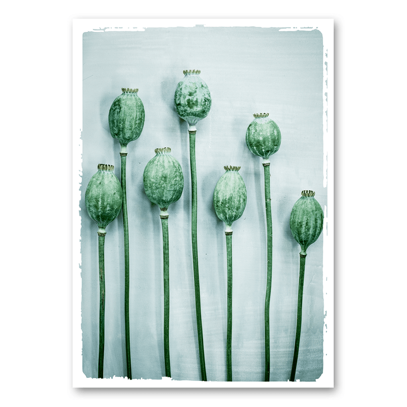 Mo-Ca Dutch old canvas Papavers op blauwe achtergrond