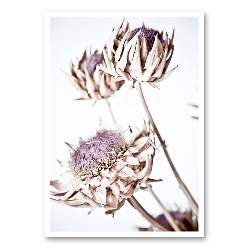 Mo-Ca Dutch old canvas Artisjok open