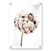 Mo-Ca Dutch old canvas Garden banner