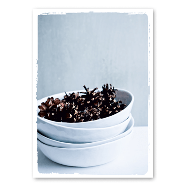 Mo-Ca Dutch old canvas Dennenappels