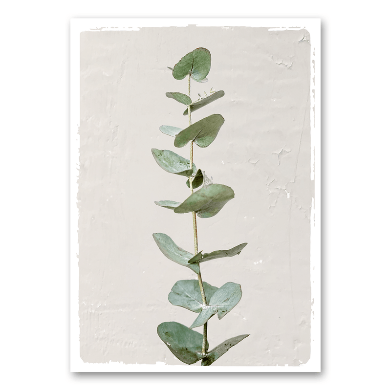 Mo-Ca Dutch old canvas Eucalyptus in de zon