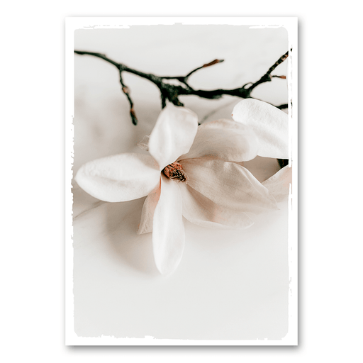 Mo-Ca Dutch old canvas Detail magnolia