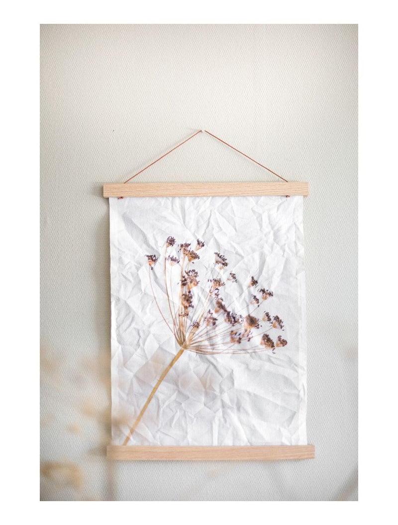 Mo-Ca Dutch old canvas Gedroogde berenklauw