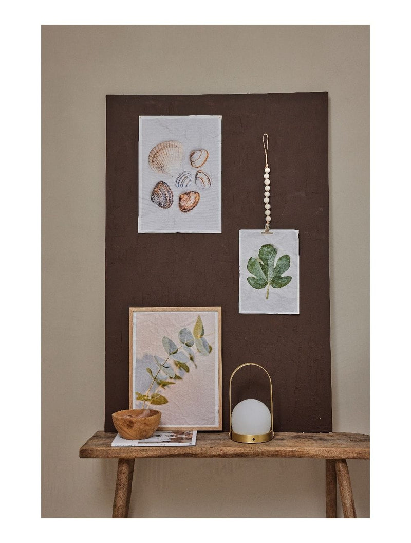 Mo-Ca Dutch old canvas Verschillende schelpen